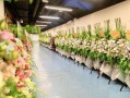 花篮网最新爆料视频,最新爆料视频深度解析