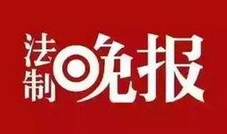 肇庆新闻线索爆料,市民爆料，揭秘城市新动态
