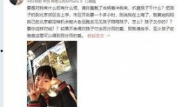 爆料陈律刘聪视频大全最新,揭秘娱乐圈背后的真相与争议