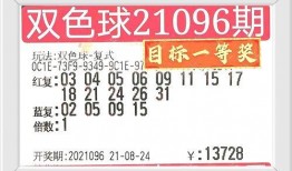 湛江今日一线爆料号码,神秘号码背后惊人真相揭晓