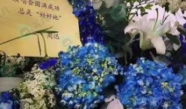 花篮网最新爆料视频,最新爆料视频深度解析