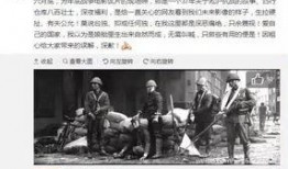 南川记者爆料事件始末视频,真相与争议的交织