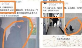 13位圈内人爆料耍大牌,13位明星耍大牌惊人内幕