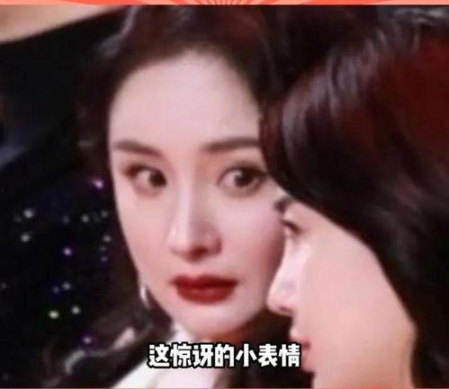 娱乐圈的瓜是怎么吃的,揭秘明星八卦的“吃瓜”之道